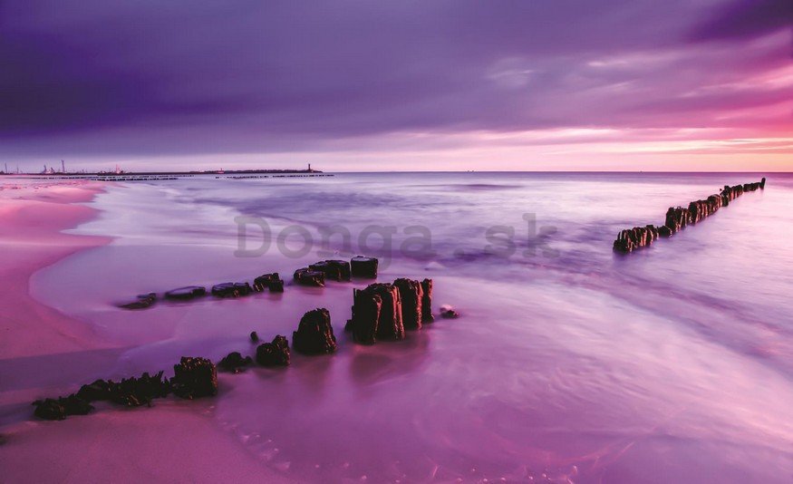 Fototapeta: Fialový západ slnka na pláži - 254x368 cm