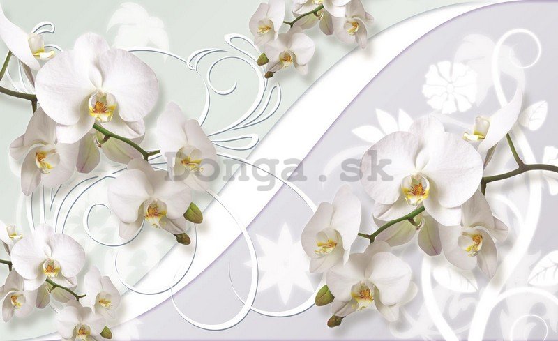 Fototapeta: Biela orchidea (vzor) - 254x368 cm