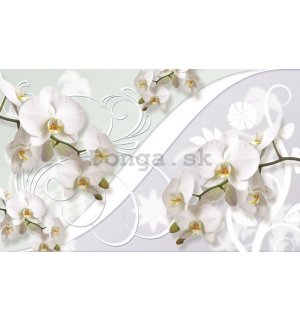 Fototapeta: Biela orchidea (vzor) - 254x368 cm