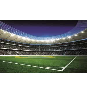 Fototapeta: Futbalový Štadión (4) - 254x368 cm