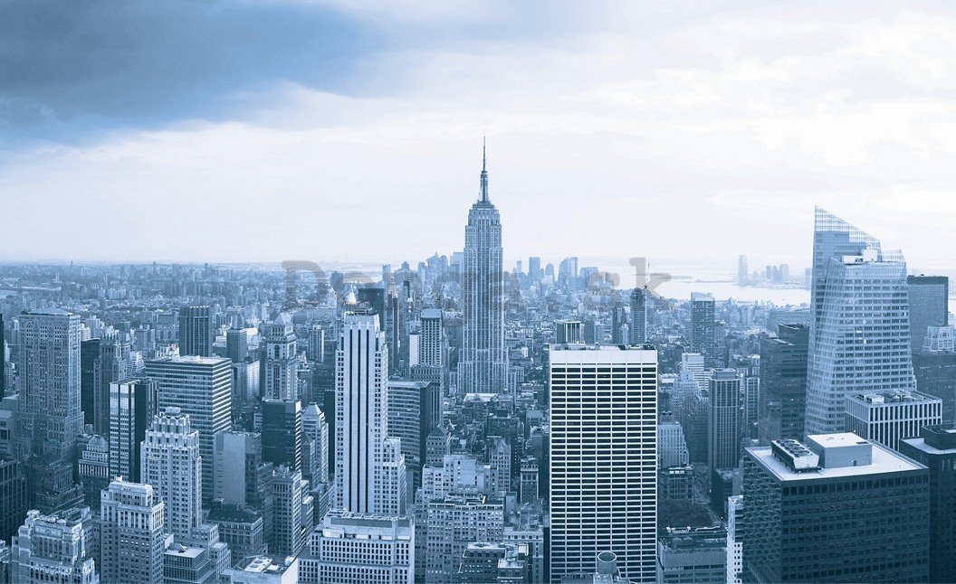 Fototapeta: Výhľad na Manhattan - 254x368 cm