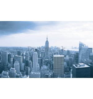 Fototapeta: Výhľad na Manhattan - 254x368 cm