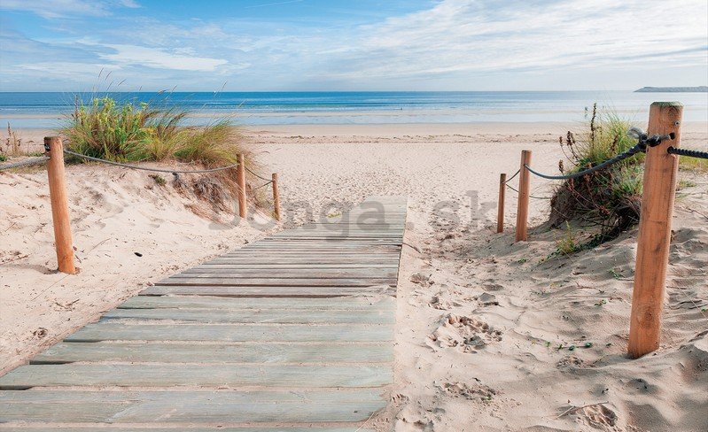 Fototapeta: Pláž (3) - 254x368 cm