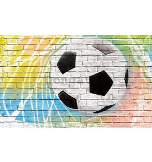 Fototapeta: Futbalová lopta (maľovaný) - 254x368 cm