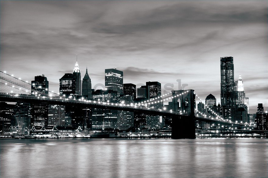 Fototapeta: Brooklyn Bridge (čiernobiely) - 254x368 cm