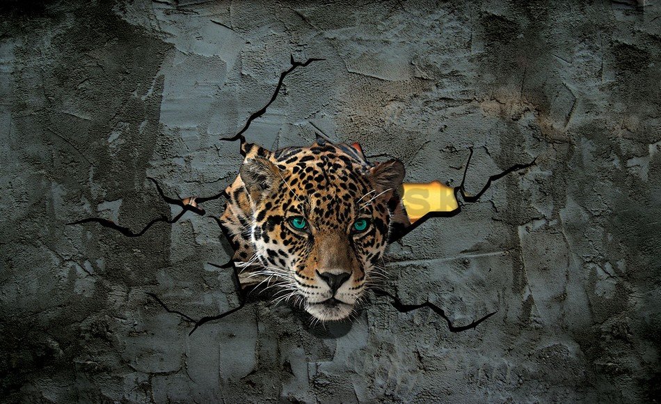 Fototapeta: Gepard v stene - 254x368 cm