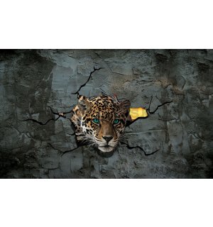 Fototapeta: Gepard v stene - 254x368 cm