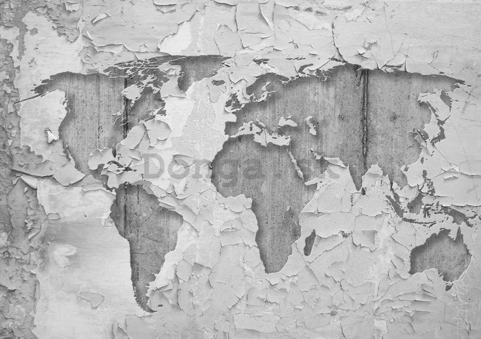 Fototapeta: Umelecká mapa sveta (2) - 254x368 cm