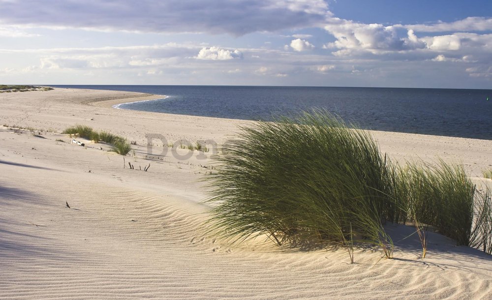Fototapeta: Piesočná pláž (1) - 254x368 cm
