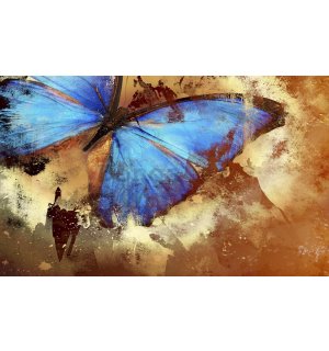 Fototapeta: Maľovaný motýľ - 254x368 cm