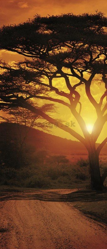 Fototapeta: Africký západ slnka - 211x91 cm