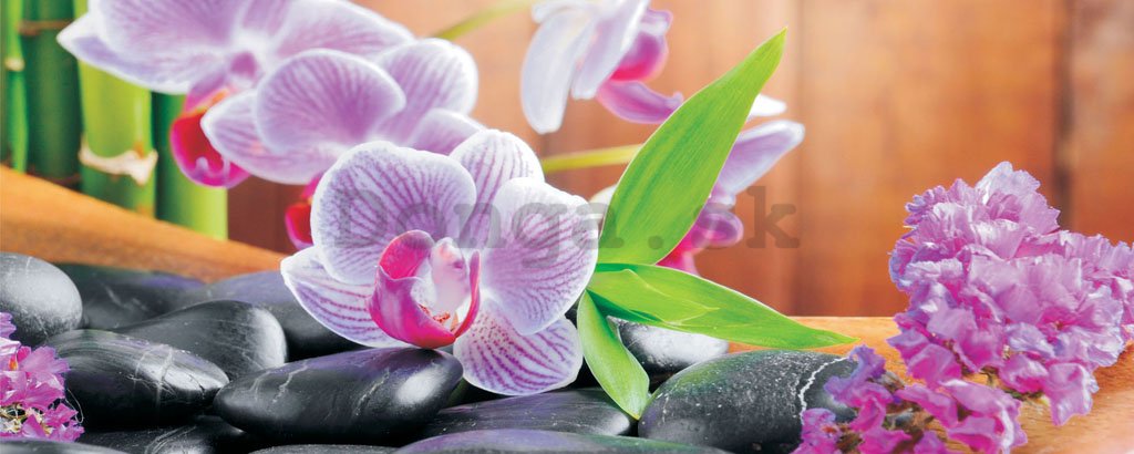 Fototapeta: Orchidea (1) - 104x250 cm