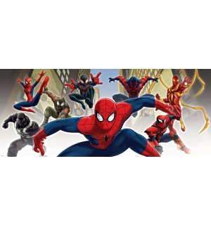 Fototapeta: Spiderman (1) - 104x250 cm