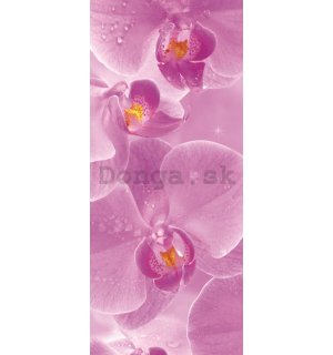 Fototapeta samolepiace: Orchidey - 211x91 cm