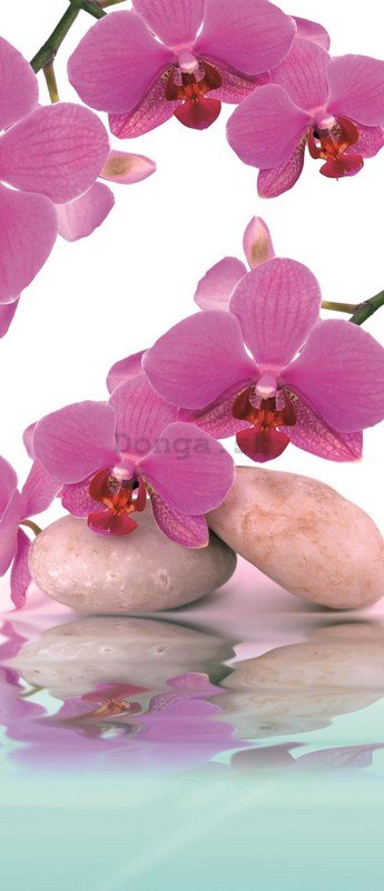 Fototapeta: Orchidea a kamene - 211x91 cm