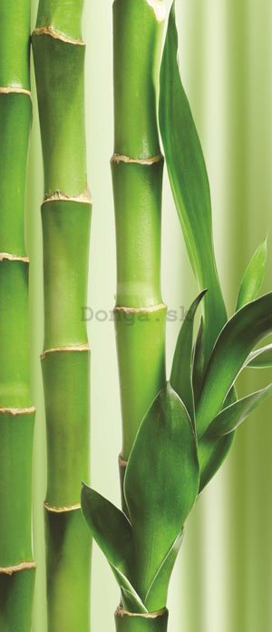 Fototapeta samolepiace: Bambus - 211x91 cm