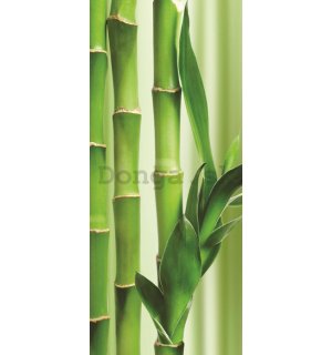 Fototapeta samolepiace: Bambus - 211x91 cm