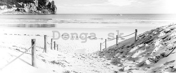 Fototapeta: Piesková pláž (čiernobiela) - 104x250 cm