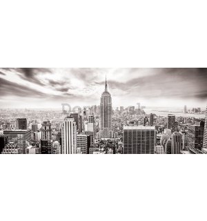 Fototapeta: Pohľad na New York (čiernobiela) - 104x250 cm