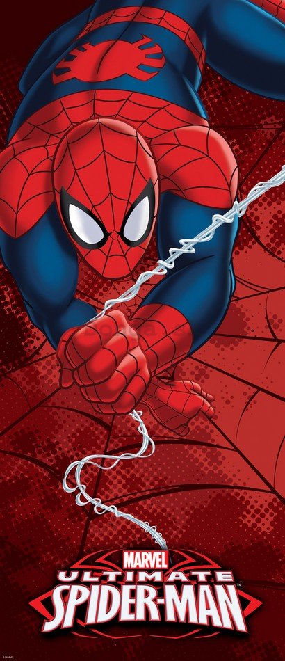 Fototapeta: Spiderman (4) - 211x91 cm