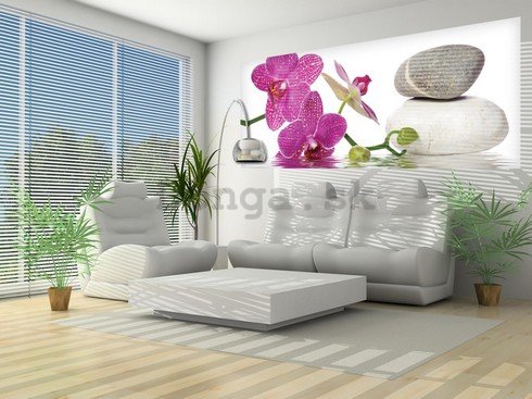 Fototapeta: Orchidea s kameňmi - 104x250 cm