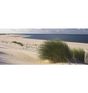 Fototapeta: Piesočná pláž (1) - 104x250 cm