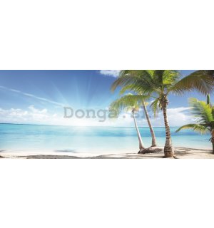 Fototapeta: Palmy na pláži - 104x250 cm