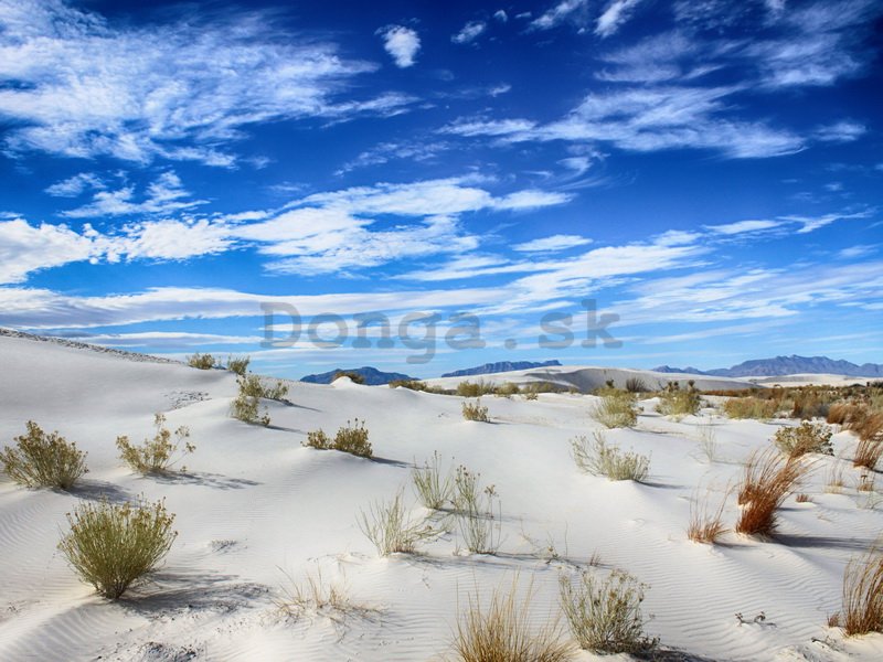 Obraz na plátne - Púšť (2)