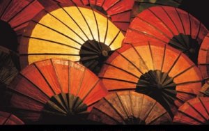 Fotoobraz - parasols