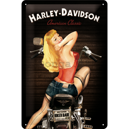 Plechová ceduľa - Harley-Davidson (Biker Babe)