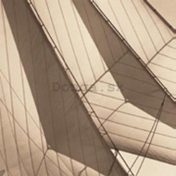 Obraz na plátne - Backlit Head Sails