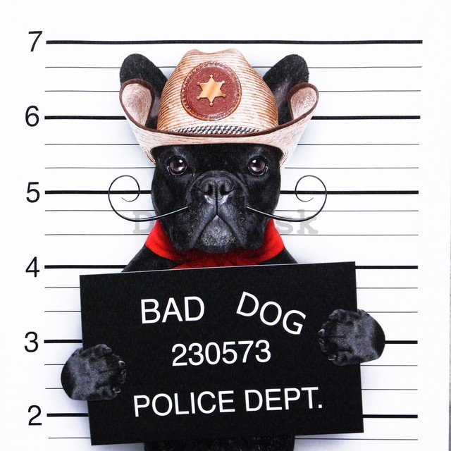 Obraz na plátne - Bad Dog (Buldoček s briadkou)