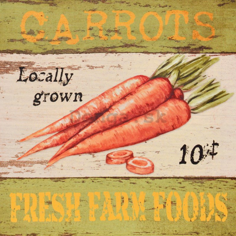 Obraz na plátne - Carrots (Fresh Farm Foods)