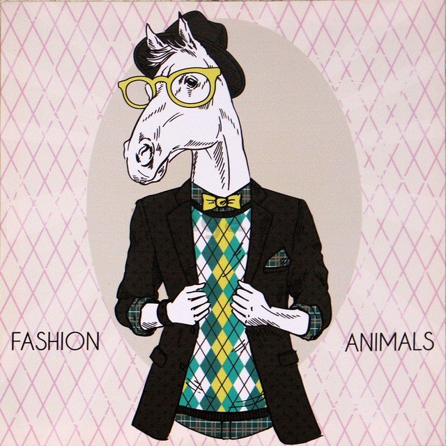 Obraz na plátne - Fashion Animal (kôň)