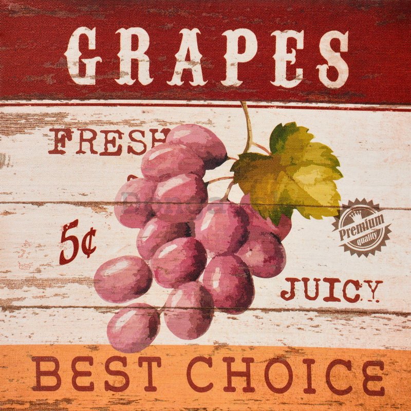Obraz na plátne - Grapes (Best Choice)