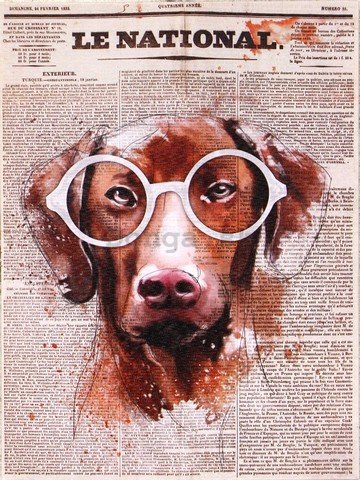 Obraz na plátne - Le National (pes)