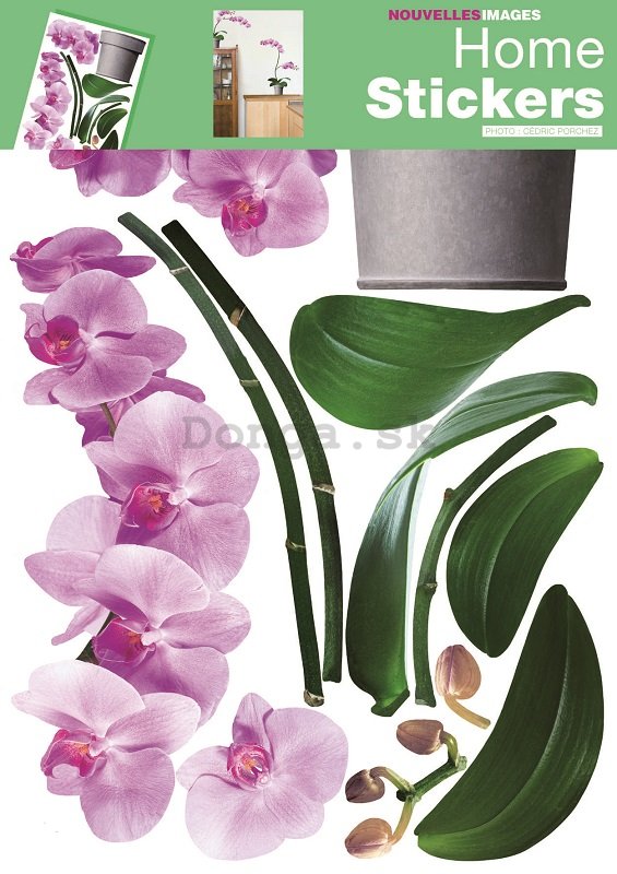 Samolepka na stenu - Orchidey