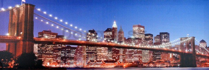 Obraz na plátne - Brooklyn Bridge (5)