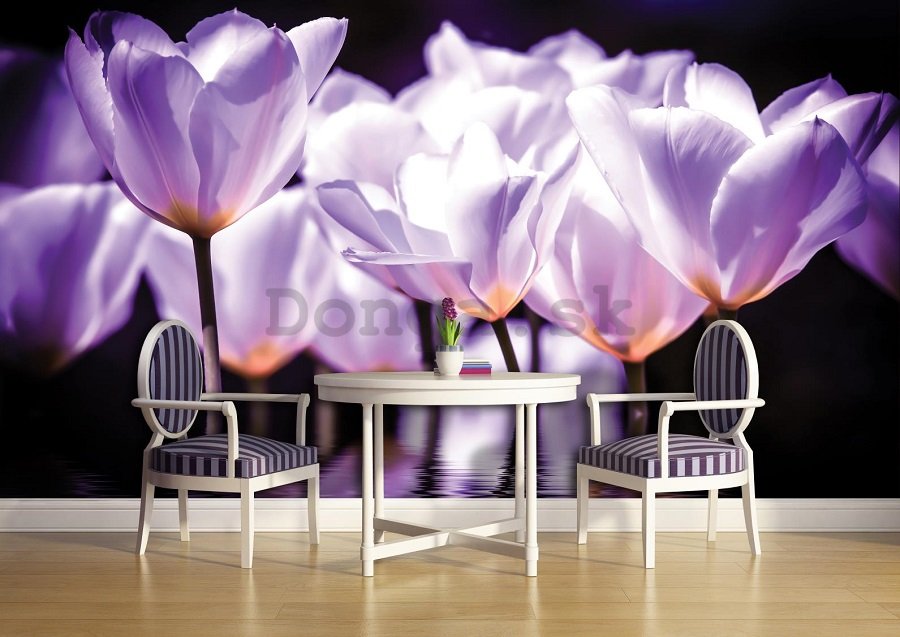 Fototapeta: Fialové tulipány (2) - 184x254 cm