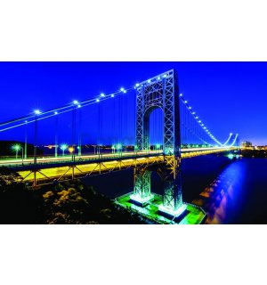 Fototapeta: Manhattan Bridge - 184x254 cm