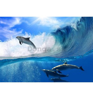 Fototapeta: Delfíny - 184x254 cm
