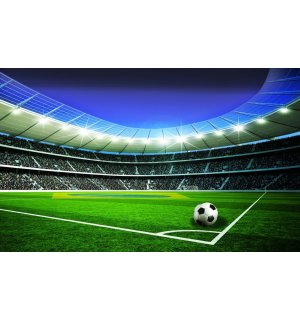 Fototapeta: Futbalový štadión (5) - 184x254 cm
