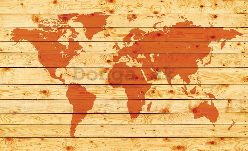 Fototapeta: Drevená mapa sveta - 184x254 cm