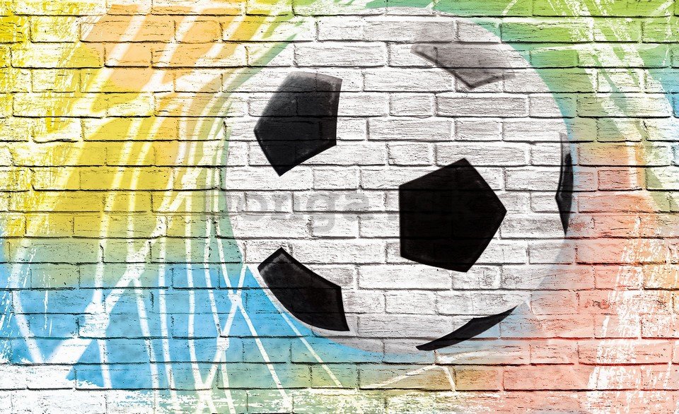 Fototapeta: Futbalová lopta (maľovaný) - 184x254 cm