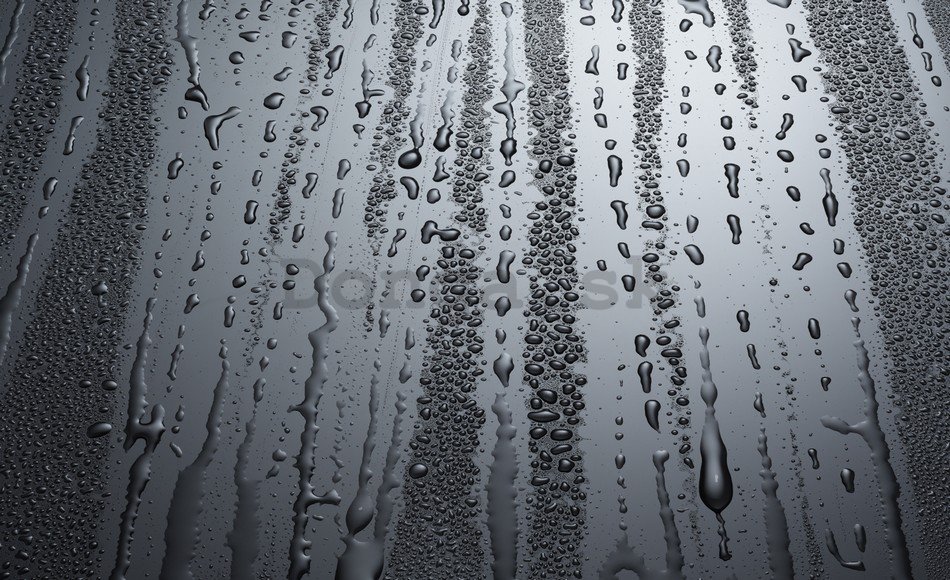 Fototapeta: Kvapky dažďa - 184x254 cm