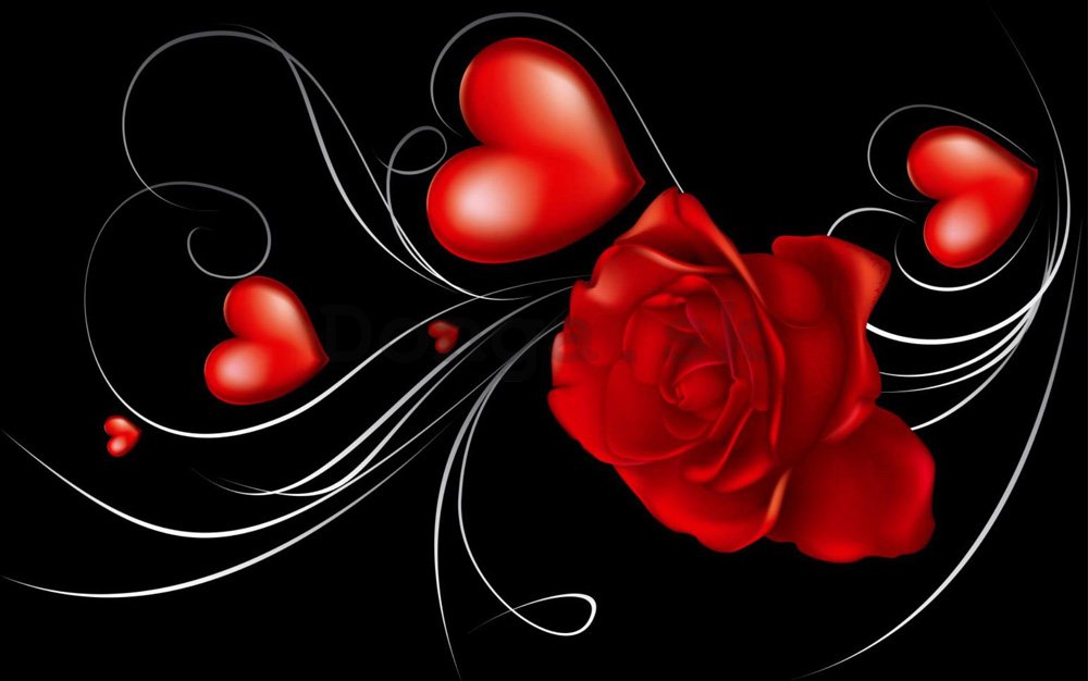 Fototapeta: Ruže a Srdce - 184x254 cm