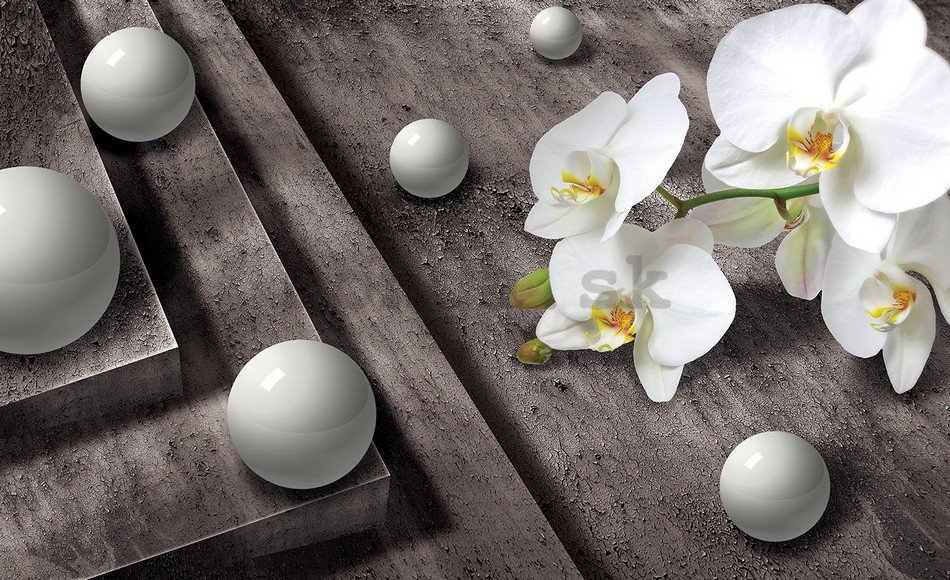 Fototapeta: Orchidea a biele guľôčky - 184x254 cm