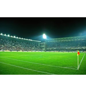 Fototapeta: Futbalový Štadión (3) - 184x254 cm