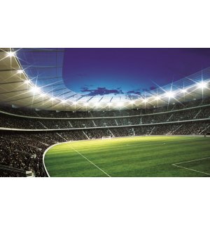 Fototapeta: Futbalový Štadión (1) - 184x254 cm