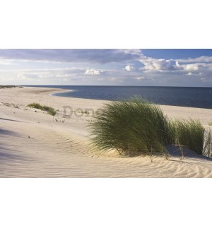 Fototapeta: Piesočná pláž (1) - 184x254 cm